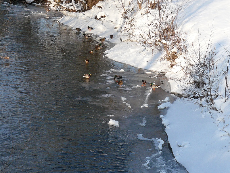 zurück