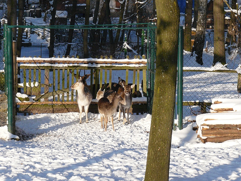 zurück
