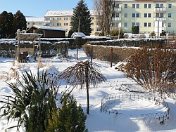 wird groß